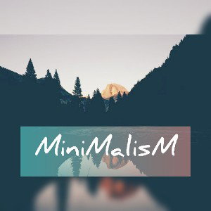 MiniMalisM