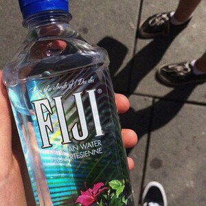 Fiji dil