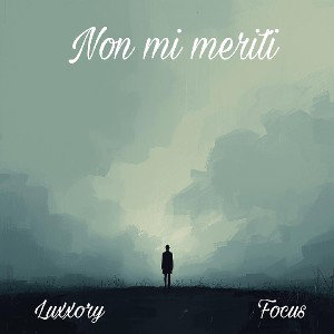 Luxxory & Focus - Non mi meriti 