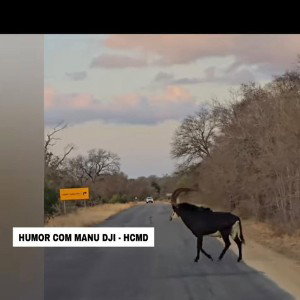 GRUTTA_-_Heslyn__Mixtape__256k__061348