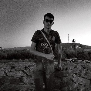 DLAM2 