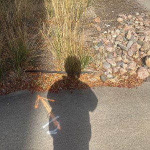 Cross Me (12:49:14)