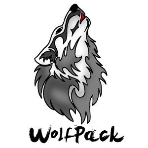 Auburn Ldot:wolf pack