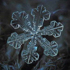 Frozen love