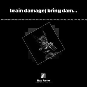 brain damage/ bring damage/2savage 