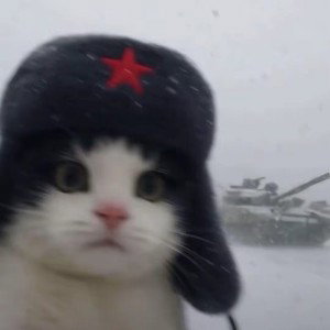 жизнь трудна