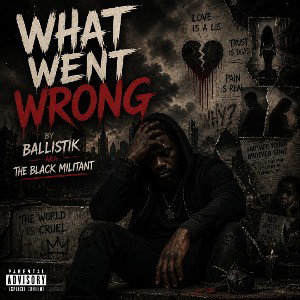 What Went Wrong