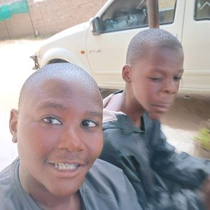 African drill