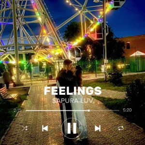 FEELINGS