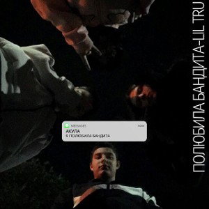 Полюбила бандита