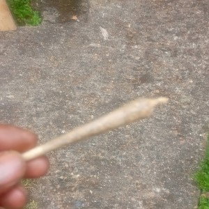 mobbed by teach