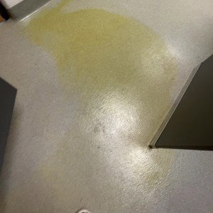 Piss Stains on the Floor