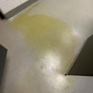 Piss Stains on the Floor 2