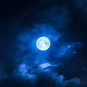 KOTAWALKER - Blue Moon 🌙 