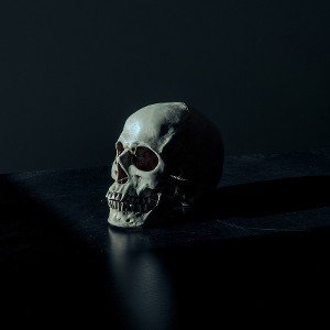 Silend x Steven Pain - Herz aus Eis 