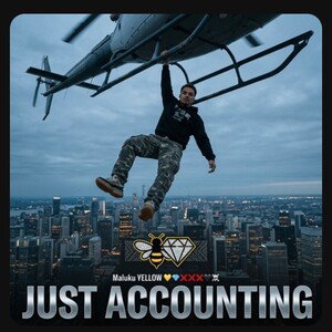 just accounting 💛💎❌❌❌🖤💀