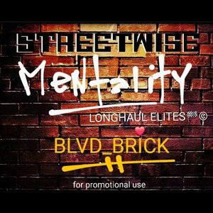 STREETWISE MENTALITY 