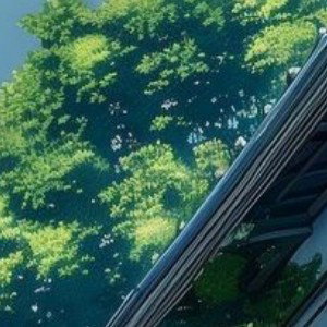 freedom rap 