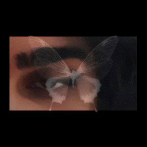 [shahre🦋arvah]