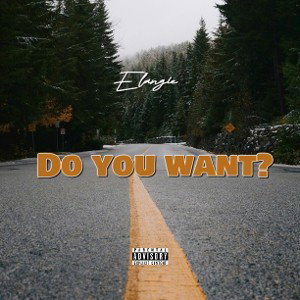 Do You Want? 