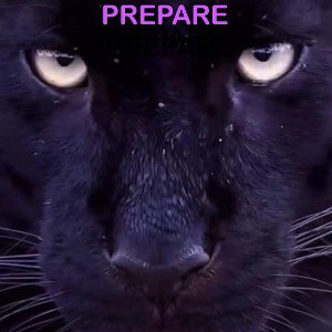 prepare