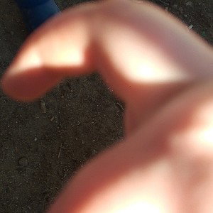  CYTY 