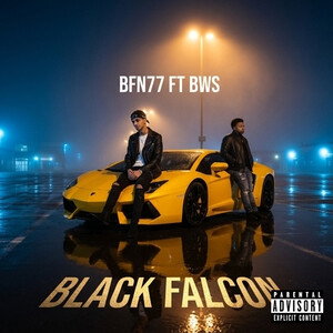 BFN77 FT BWS -BLACK FALCON 