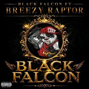Black falcon ft breezy raptor big picture 