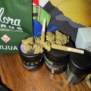 Midnight Sesh💨 