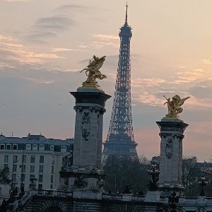 jamais à terre
