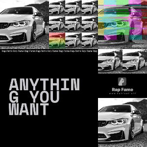 anything you want 