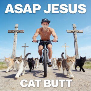 CAT BUTT I
