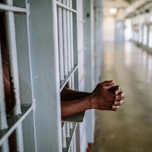 ALL PEACEFUL CRIMES