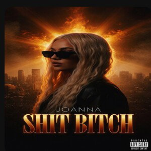 shit bitch 