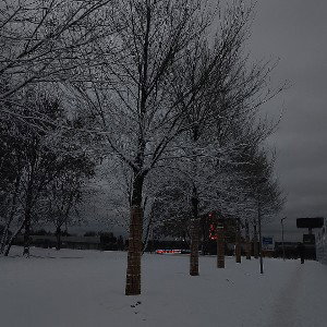 НОВОГОДНЯЯ НОЧЬ