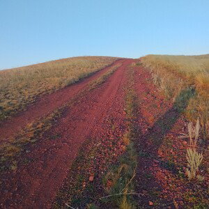 not an easy path 