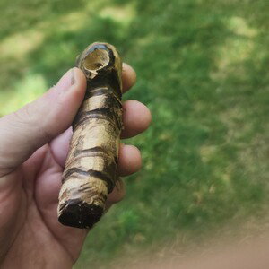I'm Not the One! 