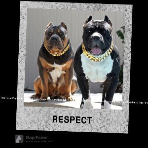 RESPECT