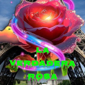 🌹 LA VERDADERA ROSA 🌹