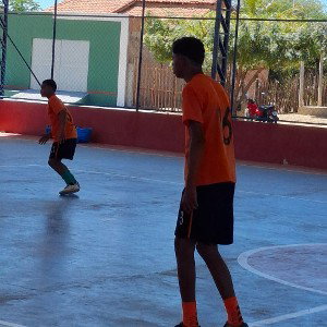 MC flori 