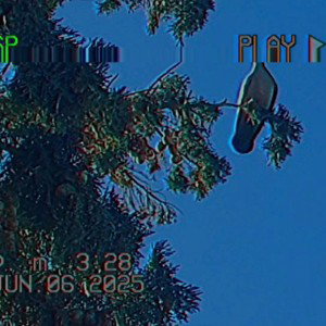 YXVNGBXXGIE - DC