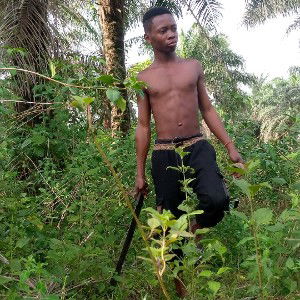the king of the jungle