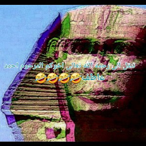 الصقر السوري -دس علا احمد عطف