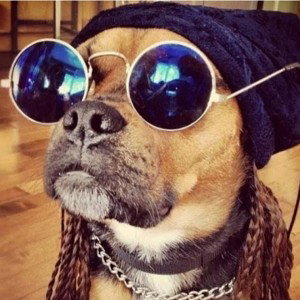 Жизнь трудна!