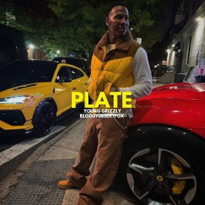 Plate