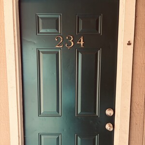 Dreams from Apt 234