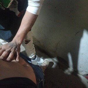 otra vez va de nuez 
