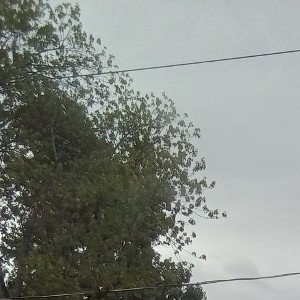 outside