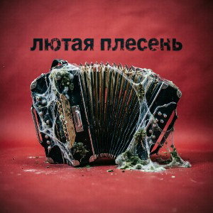 лютая плесень 