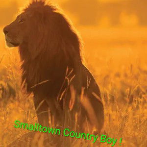 Smalltown County Boy